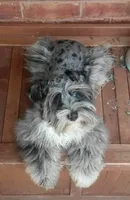 processed/3bc1b502-e0b2-4273-84e5-d73a7cbcefb2/facility/0e7fafa6-e70d-48ed-bd5a-c2f1a5ab971b