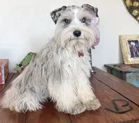 processed/3bc1b502-e0b2-4273-84e5-d73a7cbcefb2/facility/2fc81326-1572-4ca0-bb5b-bbda852aa3b0