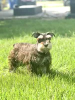 processed/3bc1b502-e0b2-4273-84e5-d73a7cbcefb2/facility/68fad82a-db4d-4918-8145-2128c1eb70b9