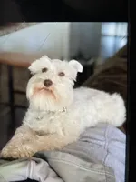 processed/3bc1b502-e0b2-4273-84e5-d73a7cbcefb2/facility/769a2bc4-fc96-483a-9b6a-47212a2f4727