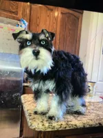 processed/3bc1b502-e0b2-4273-84e5-d73a7cbcefb2/facility/99349477-36ef-43bb-a172-244624728e2b