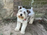 processed/3bc1b502-e0b2-4273-84e5-d73a7cbcefb2/facility/ab594d4c-335e-437a-8c19-a30f13a188be