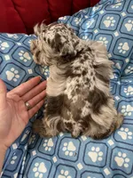 processed/3bc1b502-e0b2-4273-84e5-d73a7cbcefb2/facility/ccdf17c8-55ae-4cb4-add7-6a309c1c1219