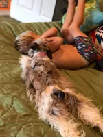 processed/3bc1b502-e0b2-4273-84e5-d73a7cbcefb2/facility/fa67fdf8-ba4a-4dba-9dea-9d8b68df9099