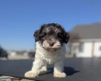 processed/3bc1b502-e0b2-4273-84e5-d73a7cbcefb2/listing/b9717d57-09dc-4711-8d84-32e8c9da71db/15768472-5e0d-4c8e-acda-1da2608ea3d1