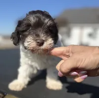 processed/3bc1b502-e0b2-4273-84e5-d73a7cbcefb2/listing/b9717d57-09dc-4711-8d84-32e8c9da71db/33de5c79-01c4-46d7-8521-f4c7ed2357ad