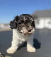 processed/3bc1b502-e0b2-4273-84e5-d73a7cbcefb2/listing/b9717d57-09dc-4711-8d84-32e8c9da71db/36933c4b-9ec7-4bfb-a915-6bacc4ecdcbe