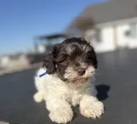 processed/3bc1b502-e0b2-4273-84e5-d73a7cbcefb2/listing/b9717d57-09dc-4711-8d84-32e8c9da71db/3f7fbd0a-78ac-4bfe-bc76-157fba6e824f