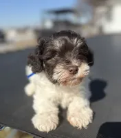 processed/3bc1b502-e0b2-4273-84e5-d73a7cbcefb2/listing/b9717d57-09dc-4711-8d84-32e8c9da71db/50c8f155-993b-4cb1-ac25-564d6981e3d5