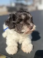 processed/3bc1b502-e0b2-4273-84e5-d73a7cbcefb2/listing/b9717d57-09dc-4711-8d84-32e8c9da71db/83f39f86-4548-4fc2-8570-ec70c5f288e4