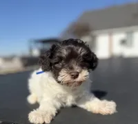 processed/3bc1b502-e0b2-4273-84e5-d73a7cbcefb2/listing/b9717d57-09dc-4711-8d84-32e8c9da71db/b583ff78-5f26-4b8c-8555-034acb63123d