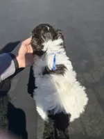 processed/3bc1b502-e0b2-4273-84e5-d73a7cbcefb2/listing/b9717d57-09dc-4711-8d84-32e8c9da71db/c7666dc7-4258-4d8a-b201-a9168b9c5424