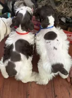 processed/3bc1b502-e0b2-4273-84e5-d73a7cbcefb2/listing/cd86e753-3c91-4958-9020-3df42b5f4ffa/80dbd9bb-c661-4be2-9765-c7fcac004c75