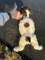 processed/3bc1b502-e0b2-4273-84e5-d73a7cbcefb2/listing/cd86e753-3c91-4958-9020-3df42b5f4ffa/9589cc9a-b1a9-4a06-a415-73398276348b