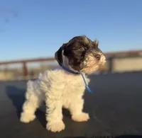 processed/3bc1b502-e0b2-4273-84e5-d73a7cbcefb2/listing/cd86e753-3c91-4958-9020-3df42b5f4ffa/c4aaf170-b786-485e-9468-9abfc07d9f91