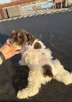 processed/3bc1b502-e0b2-4273-84e5-d73a7cbcefb2/listing/cd86e753-3c91-4958-9020-3df42b5f4ffa/e67d2a81-daef-4296-a2a8-1041807e9c60