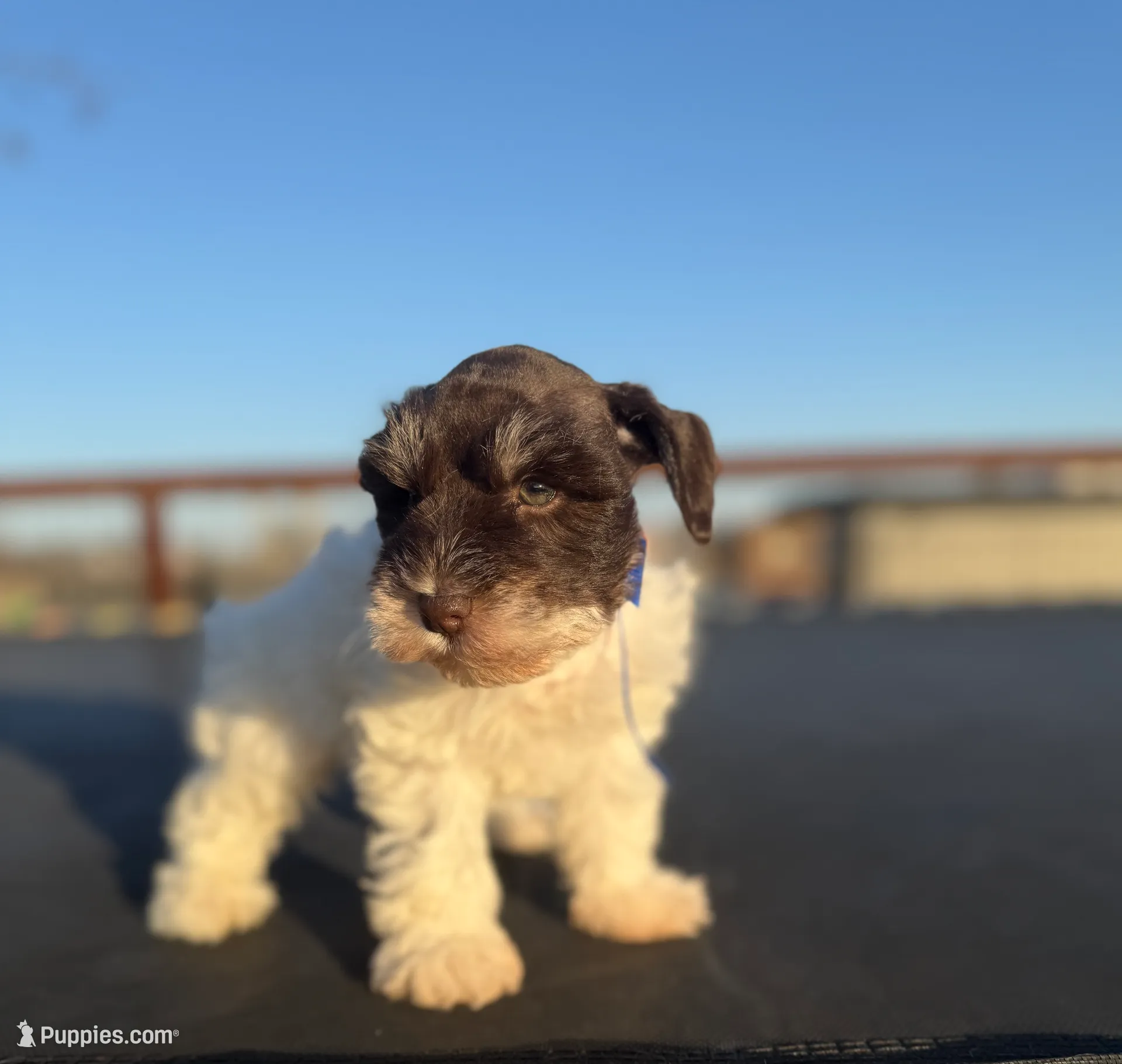 processed/3bc1b502-e0b2-4273-84e5-d73a7cbcefb2/listing/cd86e753-3c91-4958-9020-3df42b5f4ffa/f3b681fa-2c77-4b2f-8e6c-46d67098ac91