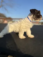 processed/3bc1b502-e0b2-4273-84e5-d73a7cbcefb2/listing/cd86e753-3c91-4958-9020-3df42b5f4ffa/ffa8fba9-504e-4a7e-9673-e887b194c51c