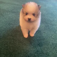 processed/3bc32057-1dfc-4a71-a663-78a7339efd25/facility/65f882d1-290c-46df-9f9c-369447e4387b