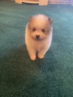 processed/3bc32057-1dfc-4a71-a663-78a7339efd25/facility/65f882d1-290c-46df-9f9c-369447e4387b