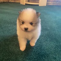 processed/3bc32057-1dfc-4a71-a663-78a7339efd25/facility/e85a7254-331d-4a83-be2e-06666f9710e7