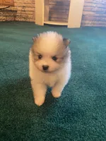 processed/3bc32057-1dfc-4a71-a663-78a7339efd25/facility/e85a7254-331d-4a83-be2e-06666f9710e7