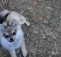 processed/3bc32057-1dfc-4a71-a663-78a7339efd25/listing/42b119e5-7fce-49cd-a025-473c387f8ed6/26d43fe6-a04e-4645-8b9a-1f76cc1cd082