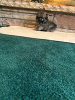 processed/3bc32057-1dfc-4a71-a663-78a7339efd25/listing/42b119e5-7fce-49cd-a025-473c387f8ed6/6c1d0185-32a5-4b76-b705-acd7c04f9116