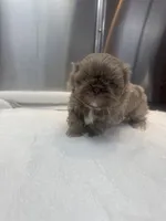 processed/3bc6321c-36cc-4bc6-8c53-59345a400322/listing/191ac638-8e15-461e-a01c-a0c6497efef3/00db6806-33f5-44c0-aae3-67b0ed26d2d6