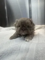 processed/3bc6321c-36cc-4bc6-8c53-59345a400322/listing/191ac638-8e15-461e-a01c-a0c6497efef3/34701d1d-2aa0-4df2-9be9-e28556ea73e8