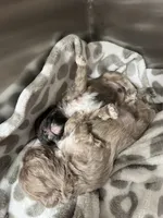 processed/3bc6321c-36cc-4bc6-8c53-59345a400322/listing/191ac638-8e15-461e-a01c-a0c6497efef3/43655894-ed5f-4b9d-ae7c-0bd6fd24d62d