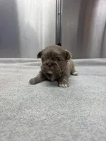 processed/3bc6321c-36cc-4bc6-8c53-59345a400322/listing/191ac638-8e15-461e-a01c-a0c6497efef3/a83e45f8-d9c3-4702-97b1-0342145f027f