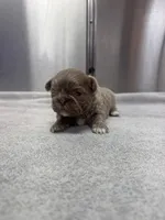 processed/3bc6321c-36cc-4bc6-8c53-59345a400322/listing/191ac638-8e15-461e-a01c-a0c6497efef3/d6d3ec10-1077-4206-8220-ef698584cabf