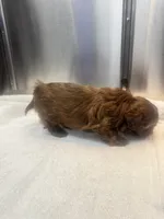 processed/3bc6321c-36cc-4bc6-8c53-59345a400322/listing/ebf18454-8cec-47e9-8412-704e8a27b729/0ff0fbd1-b134-4e68-8427-1bdb1ff812ca