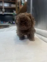 processed/3bc6321c-36cc-4bc6-8c53-59345a400322/listing/ebf18454-8cec-47e9-8412-704e8a27b729/22de4a28-2036-43f8-8b67-93000e4399be