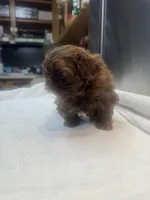 processed/3bc6321c-36cc-4bc6-8c53-59345a400322/listing/ebf18454-8cec-47e9-8412-704e8a27b729/ae790204-b531-4026-8aac-18e8eef04482