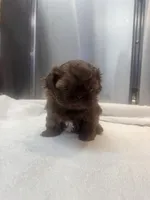 processed/3bc6321c-36cc-4bc6-8c53-59345a400322/listing/ebf18454-8cec-47e9-8412-704e8a27b729/e2a8ea50-4dc5-4a6d-b9ce-8d0171977a4e