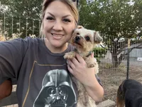 Sasha AKC, a female Yorkshire Terrier for sale in Phoenix, AZ – 4 of 7