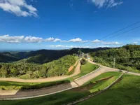 Purple , a female Cane Corso for sale in Ontario, CA – Photo 4 of 6