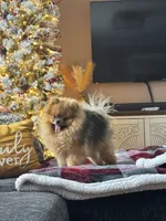 processed/3be6e29a-49f5-498a-b9a6-acdff667f60b/listing/3f6eb9a2-49f0-46fb-a216-b0056515ff38/06191156-61ba-47c7-9e79-a2eb05c71de6