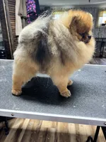 processed/3be6e29a-49f5-498a-b9a6-acdff667f60b/listing/3f6eb9a2-49f0-46fb-a216-b0056515ff38/37065aa3-68ca-4456-8cf3-6d9149b0a903