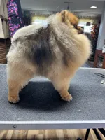 processed/3be6e29a-49f5-498a-b9a6-acdff667f60b/listing/3f6eb9a2-49f0-46fb-a216-b0056515ff38/455f4b50-dc33-4f31-9e4f-9b5b59c210b7