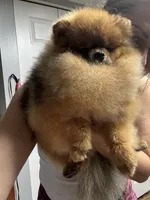 processed/3be6e29a-49f5-498a-b9a6-acdff667f60b/listing/3f6eb9a2-49f0-46fb-a216-b0056515ff38/5013eb22-fdb5-45a0-8ff0-786bf32712b8