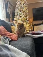 processed/3be6e29a-49f5-498a-b9a6-acdff667f60b/listing/3f6eb9a2-49f0-46fb-a216-b0056515ff38/7dc07719-00ce-4e47-905f-db744d5e7edf