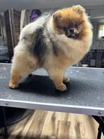 processed/3be6e29a-49f5-498a-b9a6-acdff667f60b/listing/3f6eb9a2-49f0-46fb-a216-b0056515ff38/9ac37653-c821-4980-b9fc-af203bb5b43d