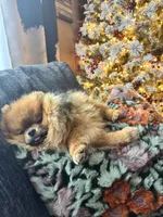 processed/3be6e29a-49f5-498a-b9a6-acdff667f60b/listing/3f6eb9a2-49f0-46fb-a216-b0056515ff38/ba3c8d08-8d5d-44a7-bedd-00cf826dcdcc