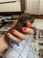 processed/3be6e29a-49f5-498a-b9a6-acdff667f60b/listing/51bb41e5-799f-458a-a0eb-9cafaf98dac5/0586bbeb-88d5-45e6-9c62-75954d1c50d6