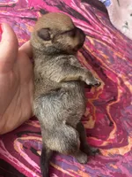 processed/3be6e29a-49f5-498a-b9a6-acdff667f60b/listing/51bb41e5-799f-458a-a0eb-9cafaf98dac5/9b716c0d-50f3-428e-b6eb-6b0fbe59de60