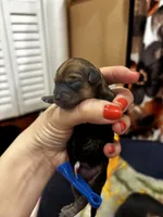 processed/3be6e29a-49f5-498a-b9a6-acdff667f60b/listing/51bb41e5-799f-458a-a0eb-9cafaf98dac5/c4fa9d87-6ff1-4a78-900f-0c530bdfea5a