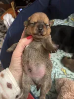 processed/3be6e29a-49f5-498a-b9a6-acdff667f60b/listing/51bb41e5-799f-458a-a0eb-9cafaf98dac5/cfa26b71-1f8d-4683-9dc6-5f93e2025d82